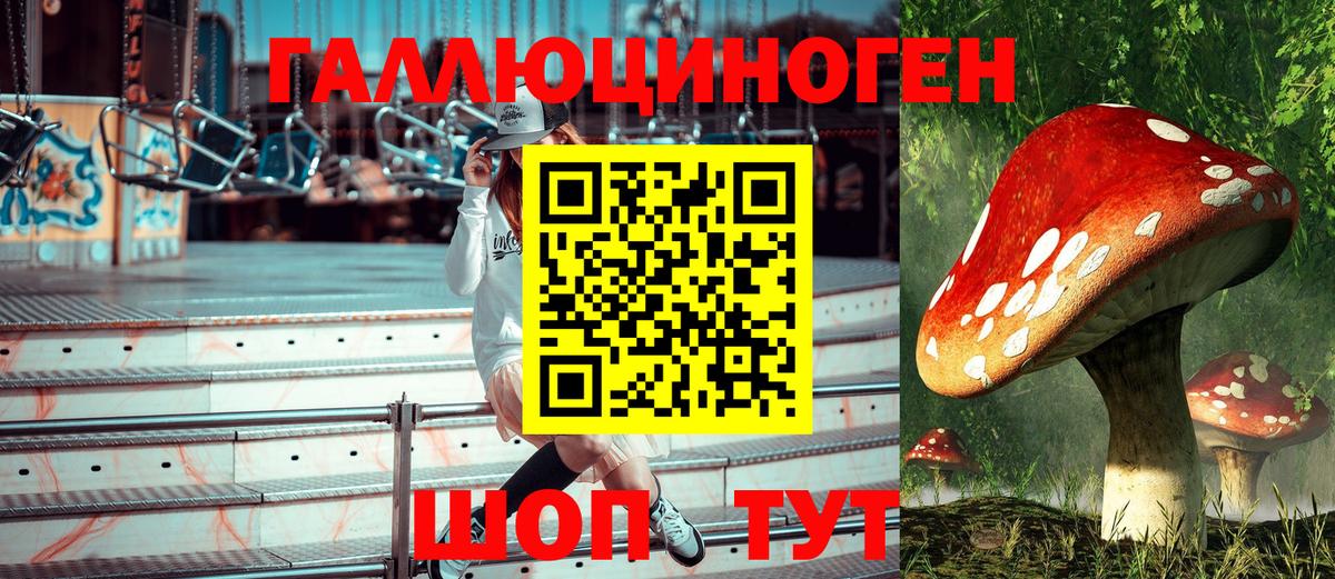 Псилоцибиновые грибы мухоморы  хочу наркоту  Нарткала  Галлюциногенные грибы мицелий  Вход с VPN 